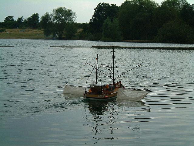 KRABBE 8