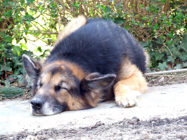 Arbeitstg 09041131WEB