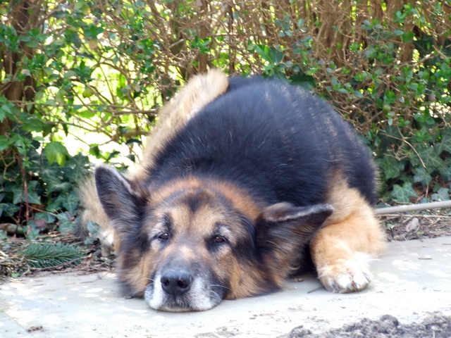 Arbeitstg 09041132WEB