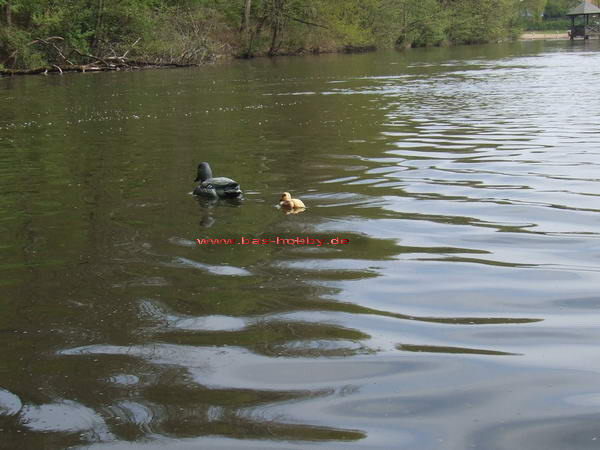 Saaler Mühle WEB (29)