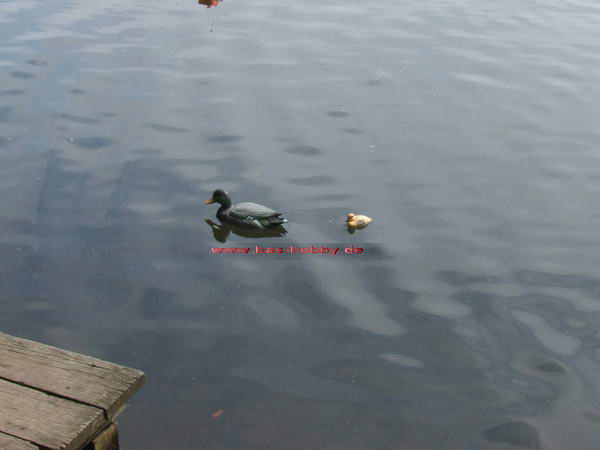 Saaler Mühle WEB (33)