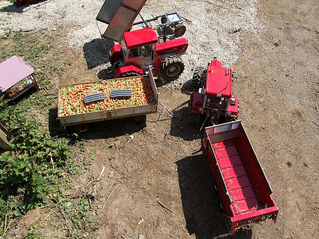 Berghausen 2008 ( 6)