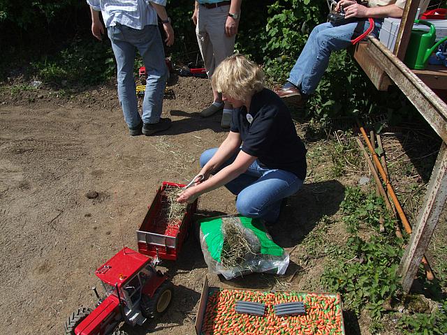 Berghausen 2008 ( 9)