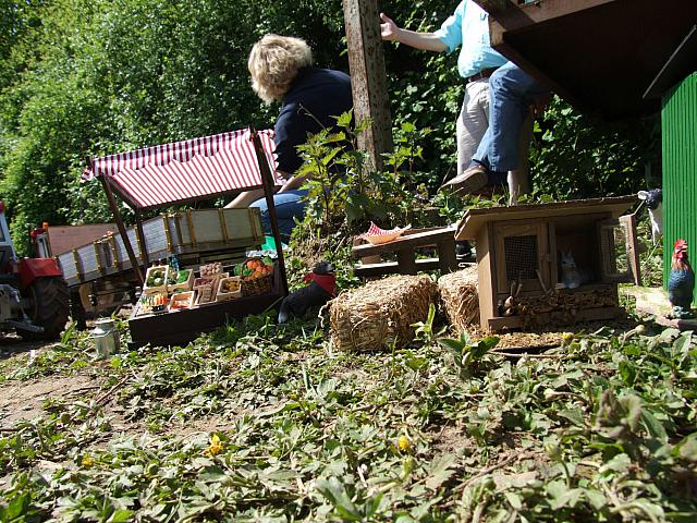 Berghausen 2008 ( 11)