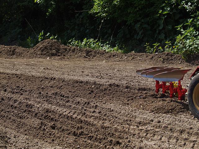 Berghausen 2008 ( 43)