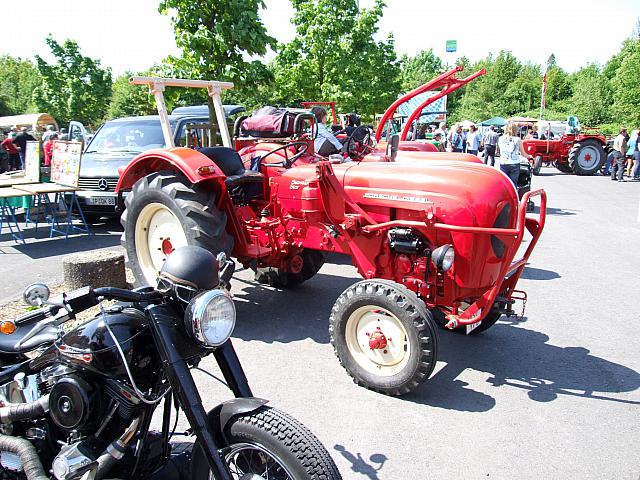 Berghausen 2008 ( 80)