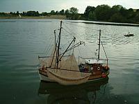KRABBE 6