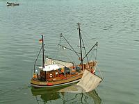 KRABBE 7