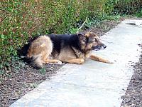 Arbeitstg 09041116WEB