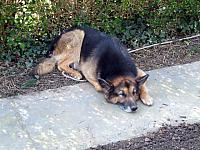 Arbeitstg 09041121WEB