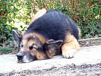 Arbeitstg 09041131WEB