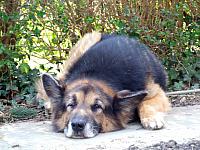 Arbeitstg 09041132WEB