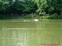 KuK 2003-35