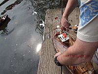 Saaler Mühle WEB (23)