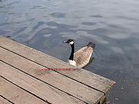 Saaler Mühle WEB (35)