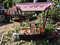 Berghausen 2008 ( 13)